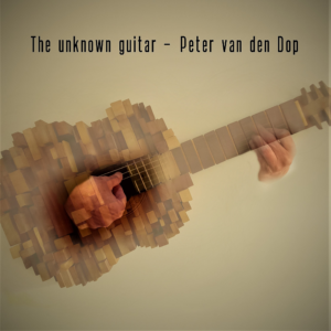 Peter van den Dop - Guitarist